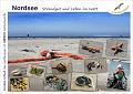 4199 NORDSEE Strandgut und Leben